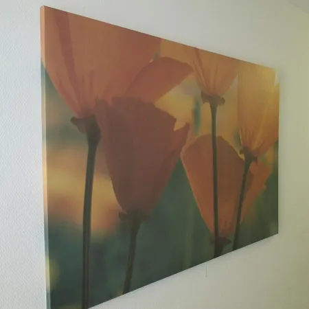 Hotel & Gastehaus Krone 3*