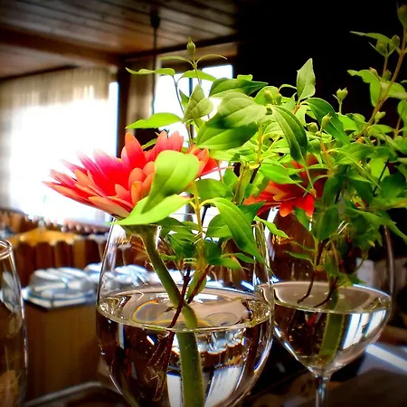 & Gaestehaus Krone 3*